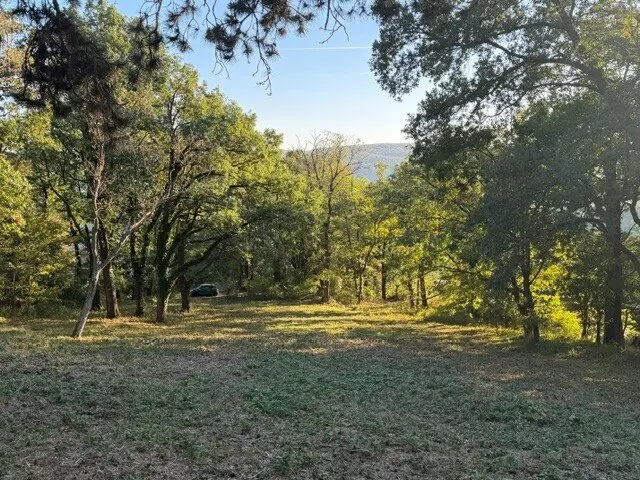 Exklusives Baugrundstück am Ölberg in Klosterneuburg – sonnige Hanglage mit spektakulärem Fernblick und altem Baumbestand