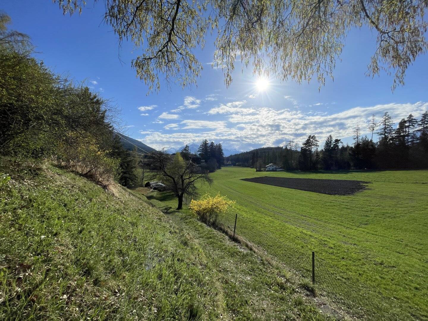 Aussichtslage mit Panoramablick in Waldrandnähe in Aldrans im Bezirk Innsbruck-Land nahe Innsbruck