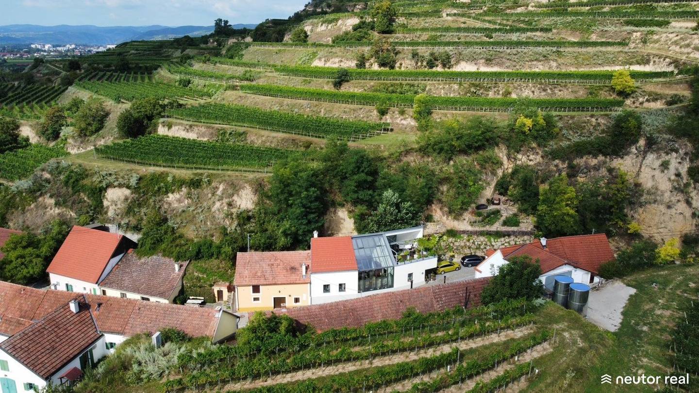 Einzigartige Liegenschaft in der Wachau | Ausgebautes Weinkeller-Loft mit WOW-Faktor