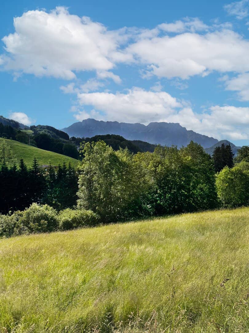 Hallein: Baugrundstück mit Panoramablick in Bad Dürrnberg zu verkaufen