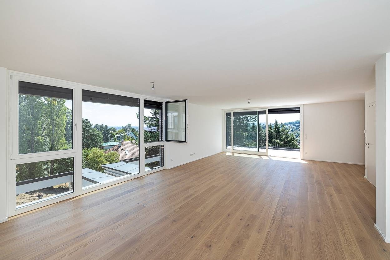 Top floor apartment with Vienna view and roof terrace