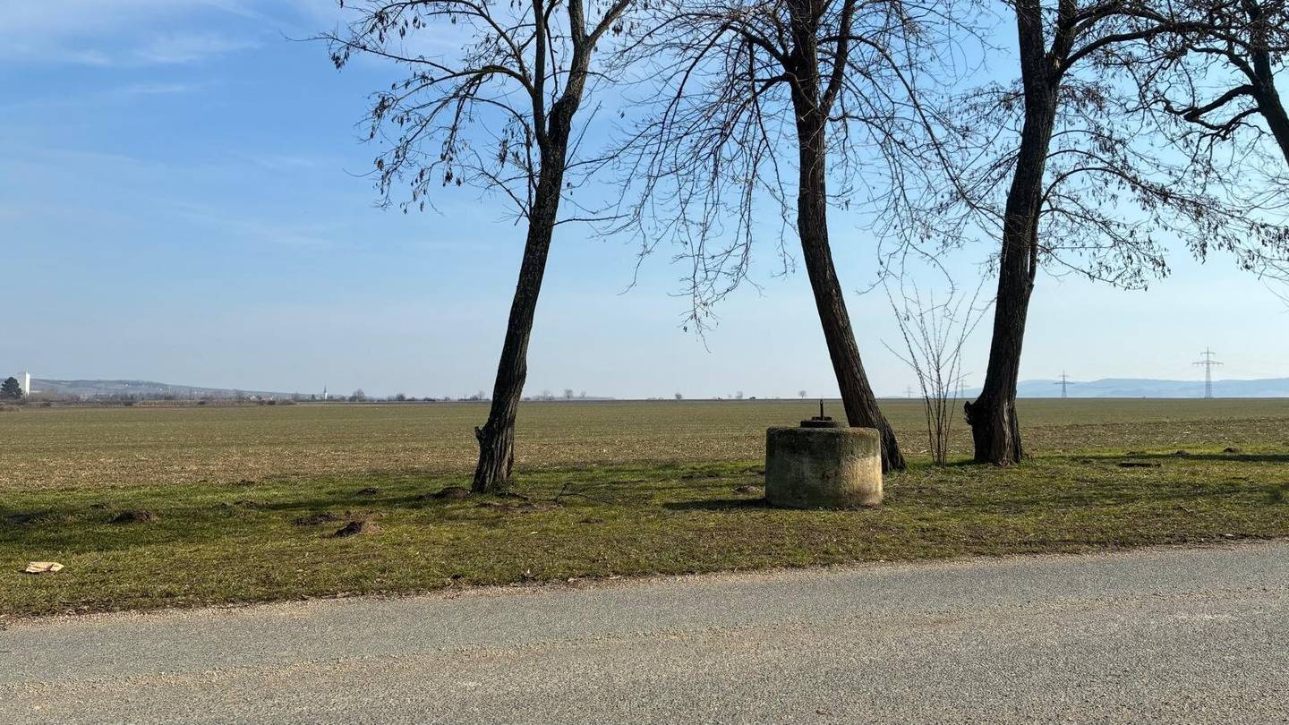 Steck dir deine Sorgen an den Hut im eigenen Presshaus