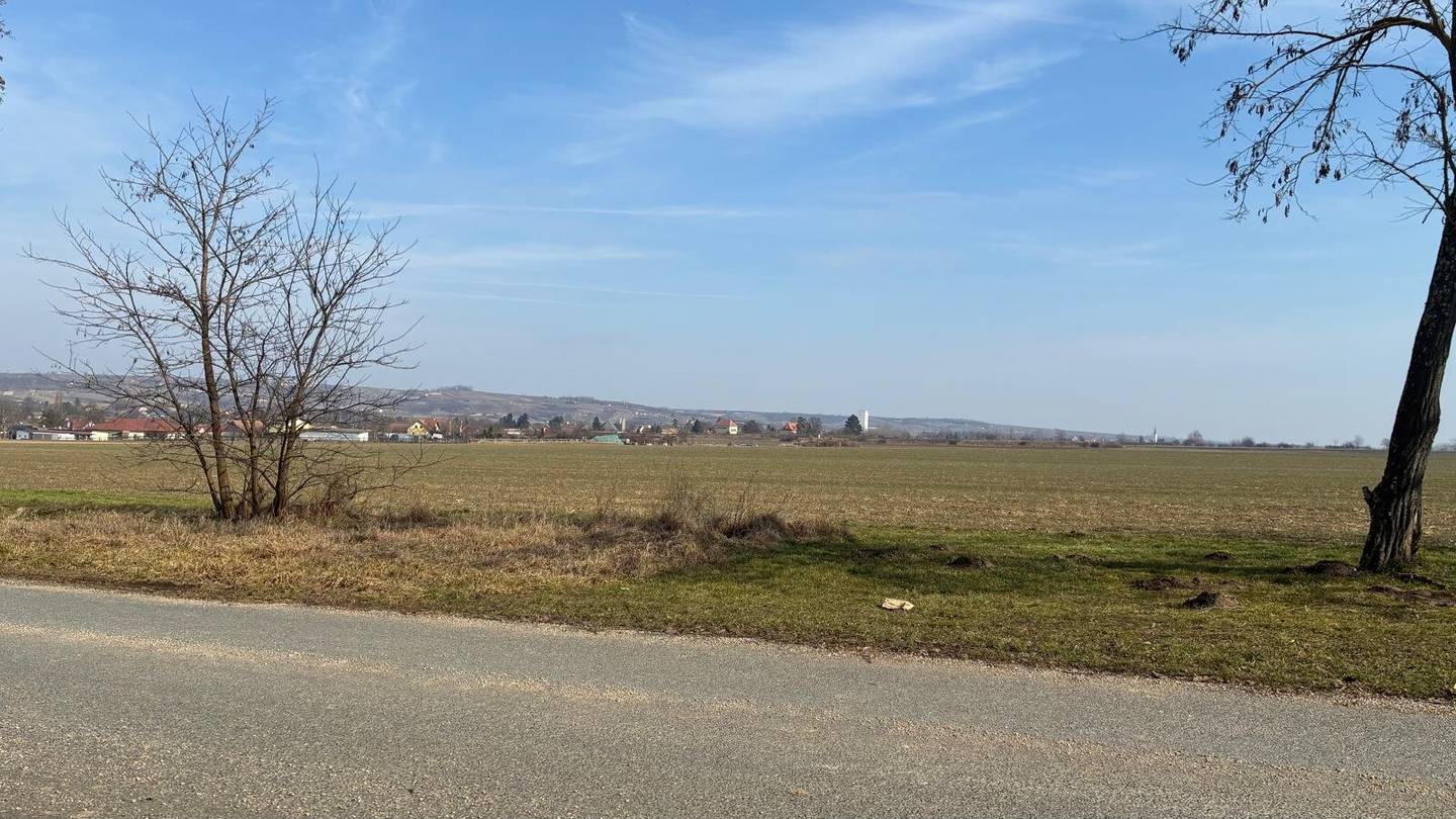 Steck dir deine Sorgen an den Hut im eigenen Presshaus