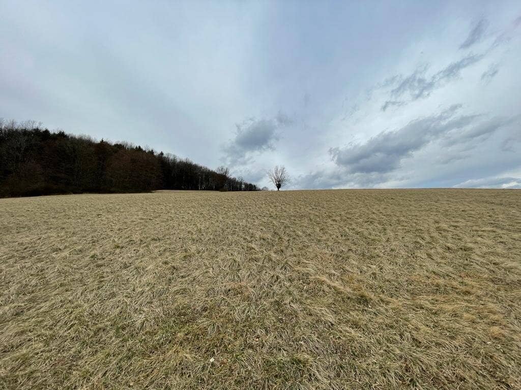 Natur pur: Traumhaftes Grünland in idyllischer Lage von Pressbaum