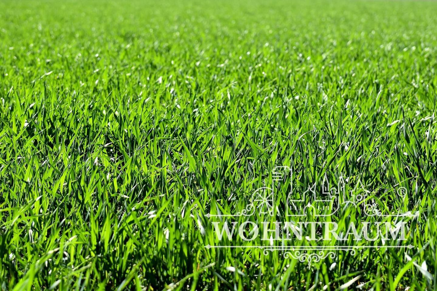 Grundstück über 5.500m2 zum Top-Preis