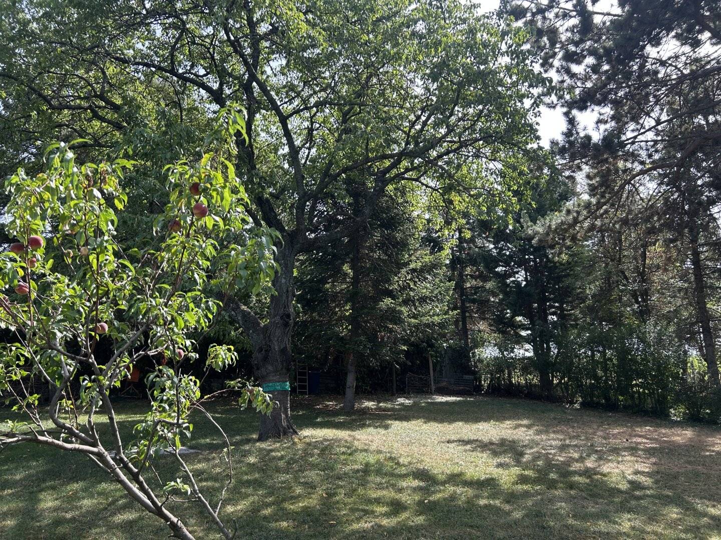 Zwischen Reben & Natur – Charmantes Landhaus mit Potenzial auf 1.002 m² Grund