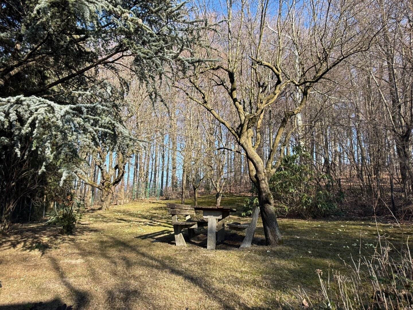 „Wienerwald-Baugrund mit Weitblick – 993 m² sonnige Hanglage in Breitenfurt“