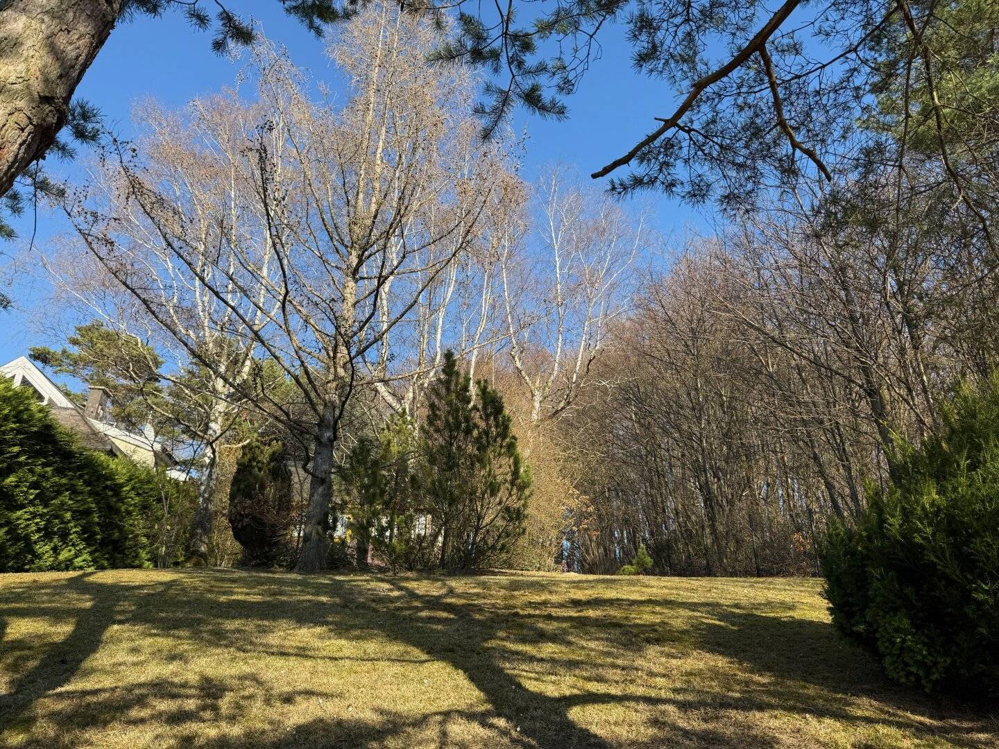 „Wienerwald-Baugrund mit Weitblick – 993 m² sonnige Hanglage in Breitenfurt“