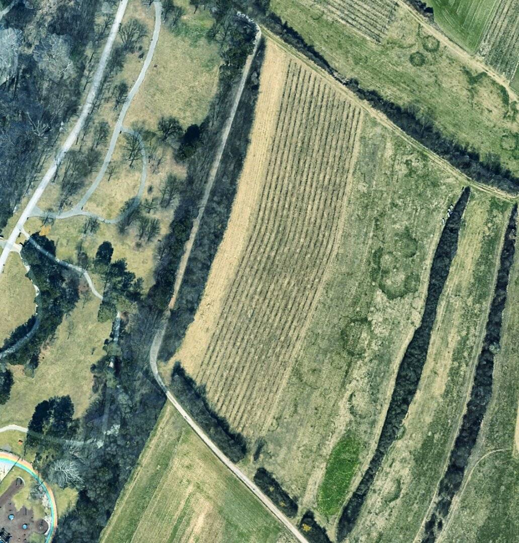 2 Weingärten in Oberlaa