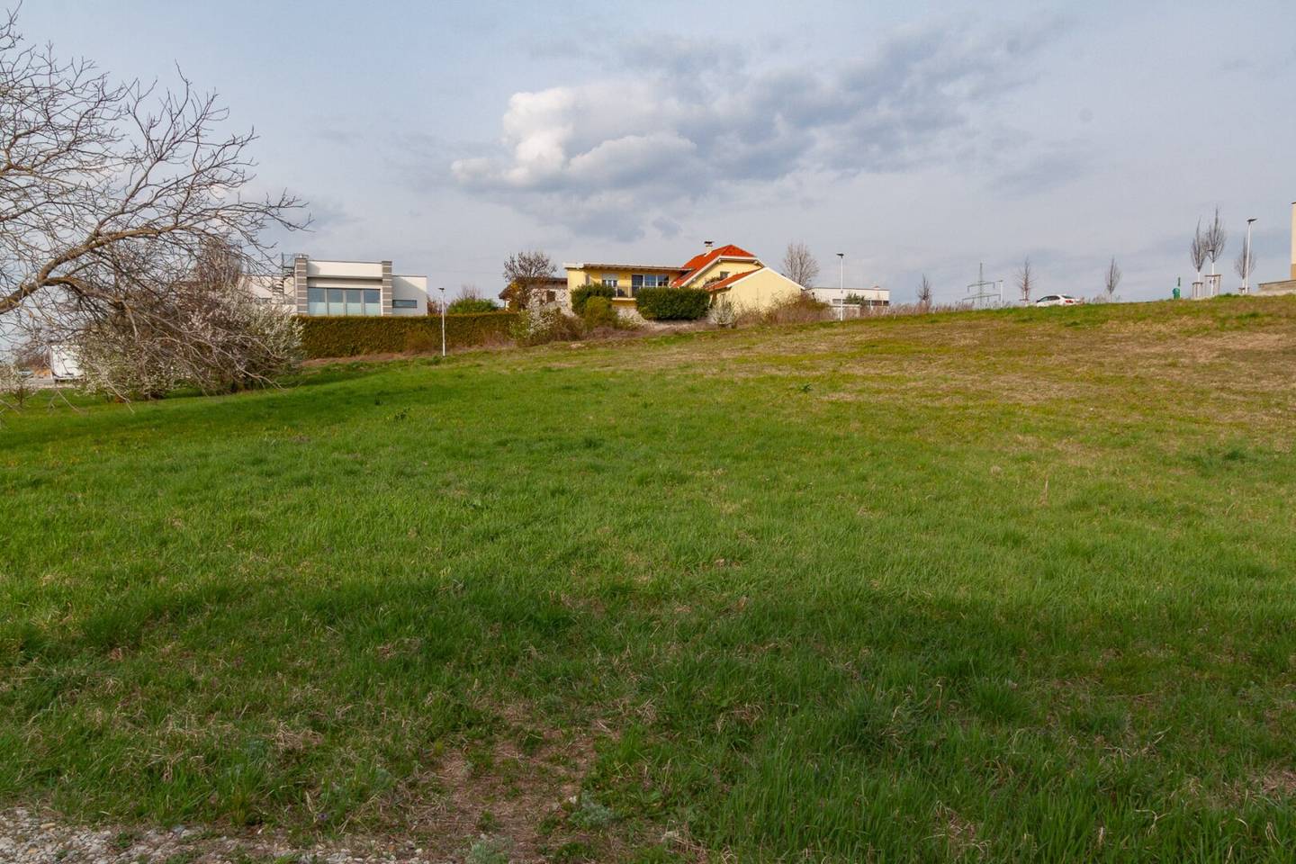 Grundstück im Gebiet Reitschacher in Neusiedl am See