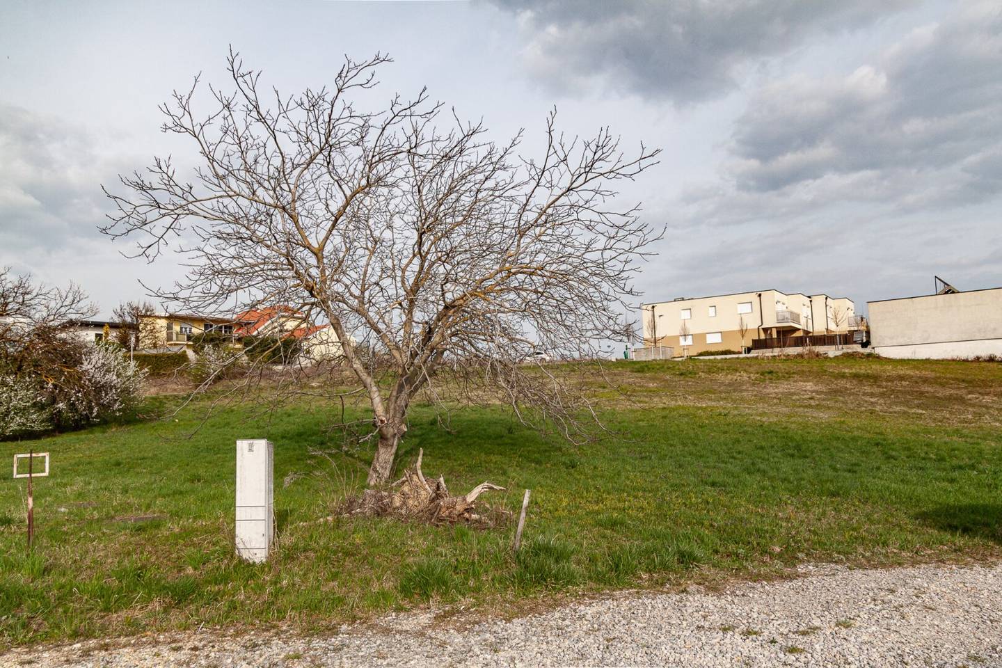 Grundstück im Gebiet Reitschacher in Neusiedl am See