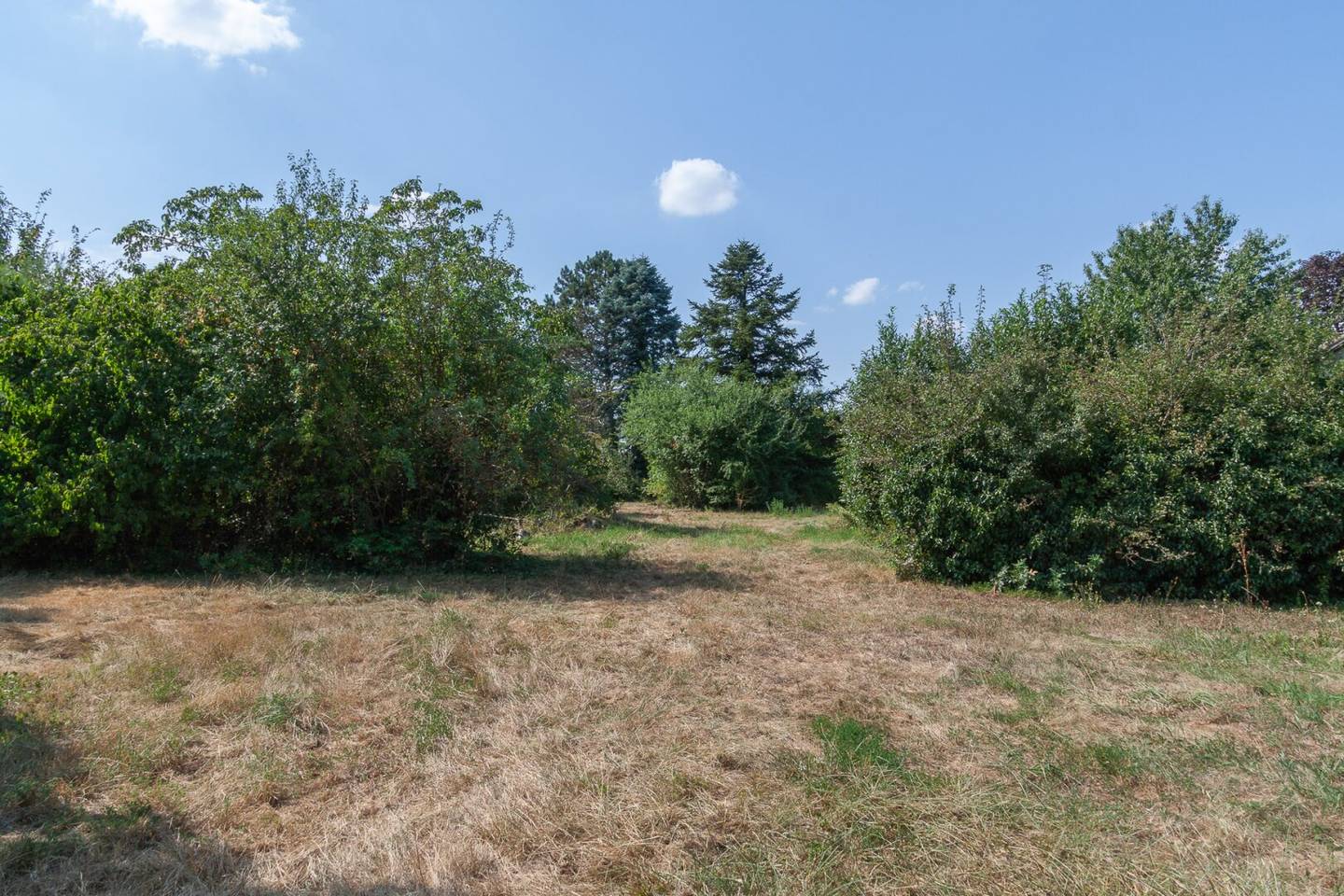 Großes Baugrundstück in Nickelsdorf