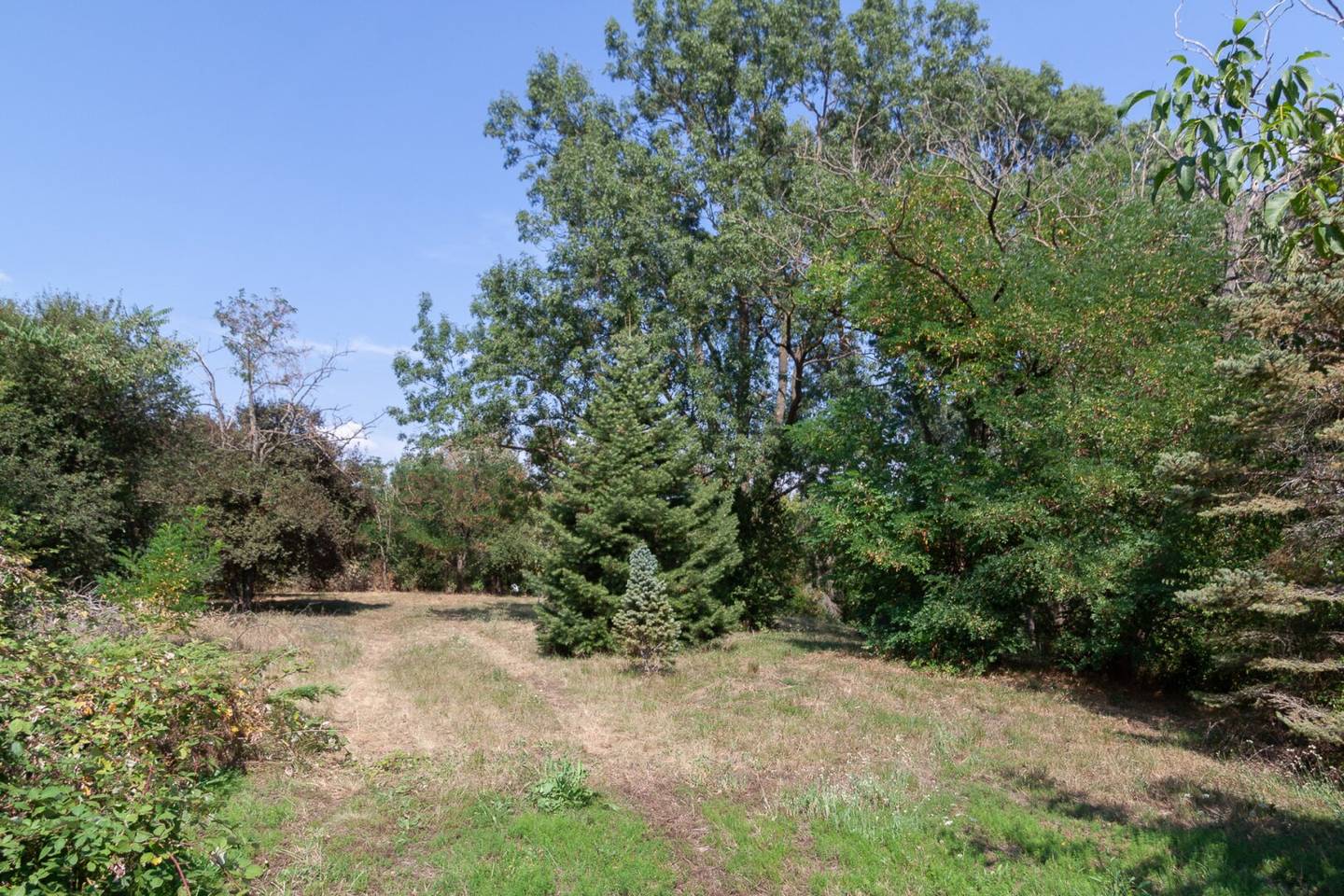 Großes Baugrundstück in Nickelsdorf