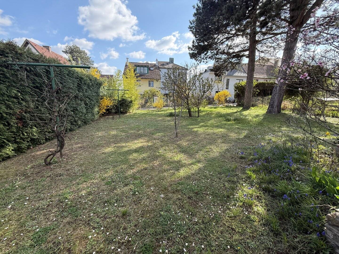 649 m² Grundstück in Bestlage Hietzing – Bestandshaus mit Potenzial