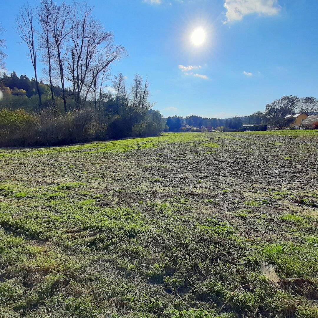 Schönes, sonniges Bauträger-Grundstück in Allerheiligen bei Wildon.