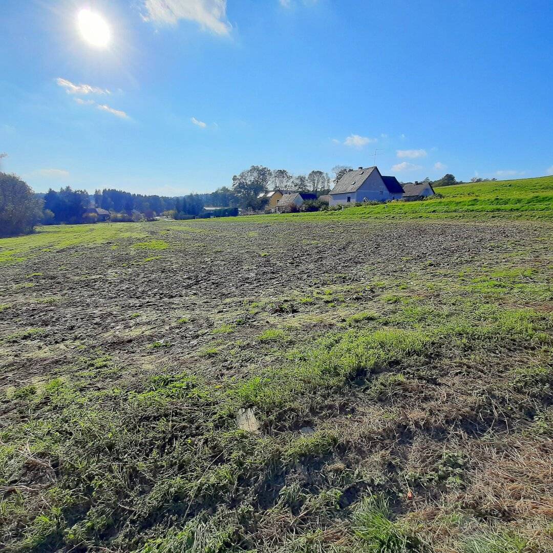 Schönes, sonniges Bauträger-Grundstück in Allerheiligen bei Wildon.