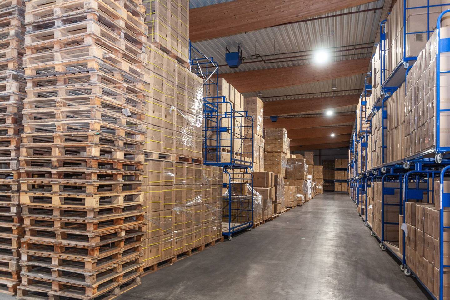 Große, beheizbare Gewerbehalle (2.835 m²) in Parndorf  für € 2,90,--/m² zu mieten