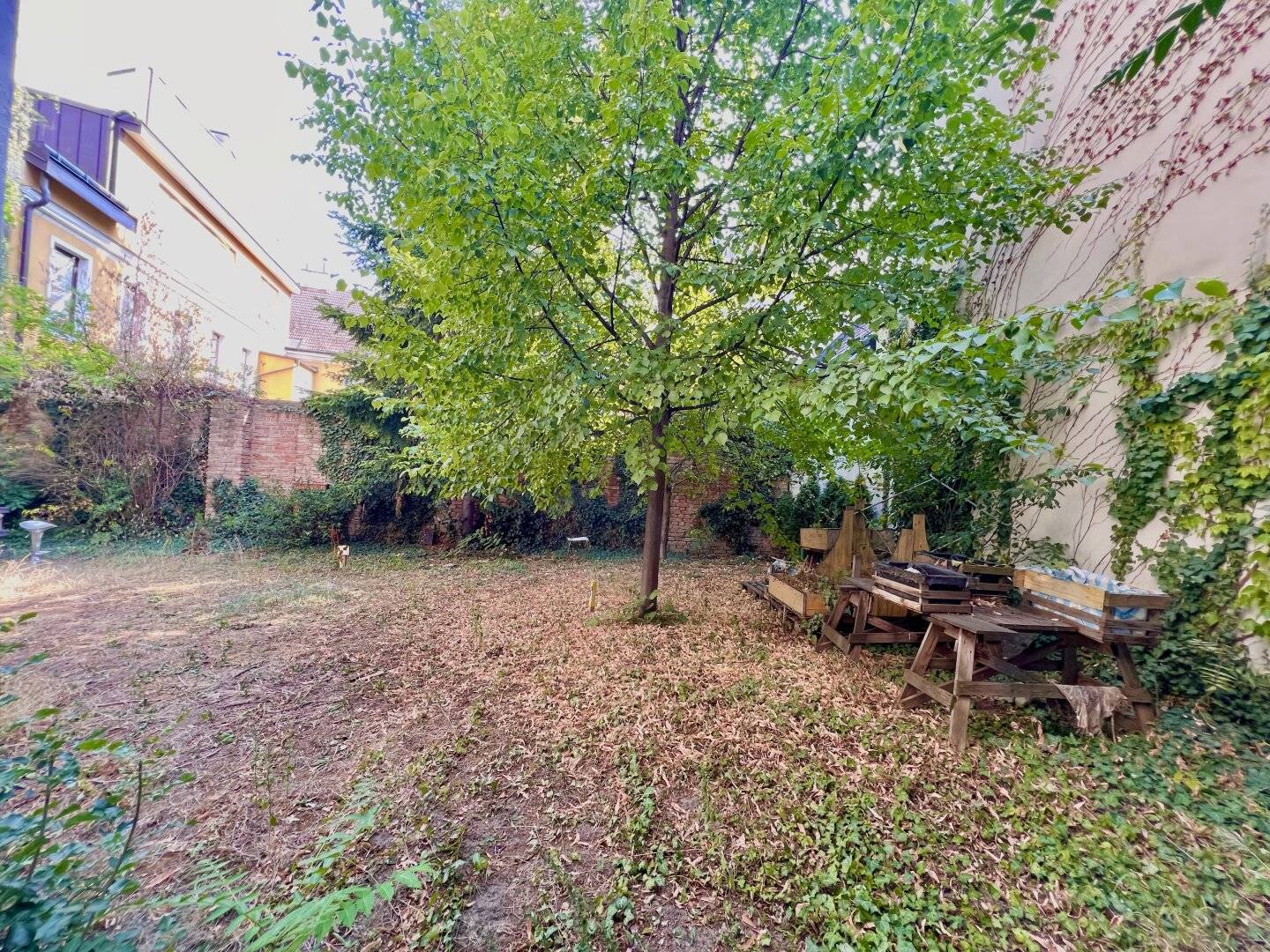 Gartenoase (50m2 Eigengarten) mitten in Wien - Sanierungsbedürftige 3-Zimmerwohnung in 1170 Wien!