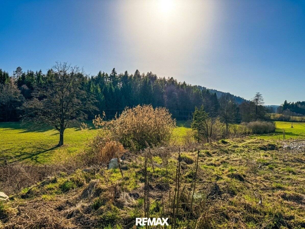 Von Bungalow bis Bauträger - Baugrundstücke in sonniger Lage