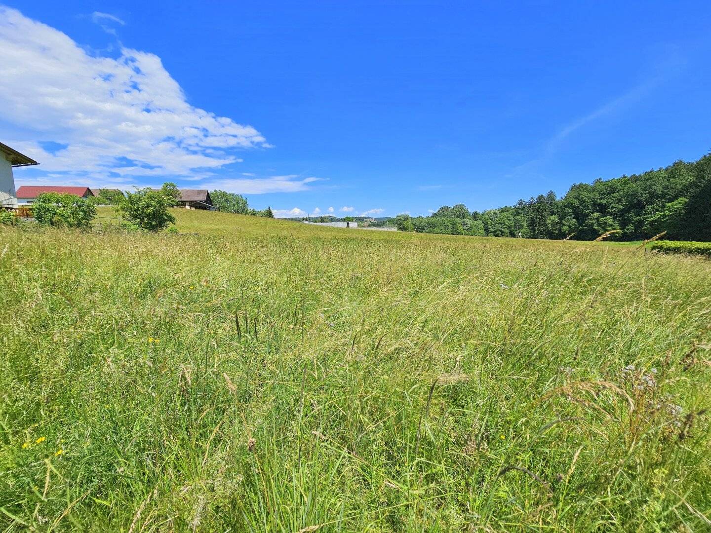 Wunderschönes, sonniges Grundstück am Ende einer Sackgasse zum Top-Preis!