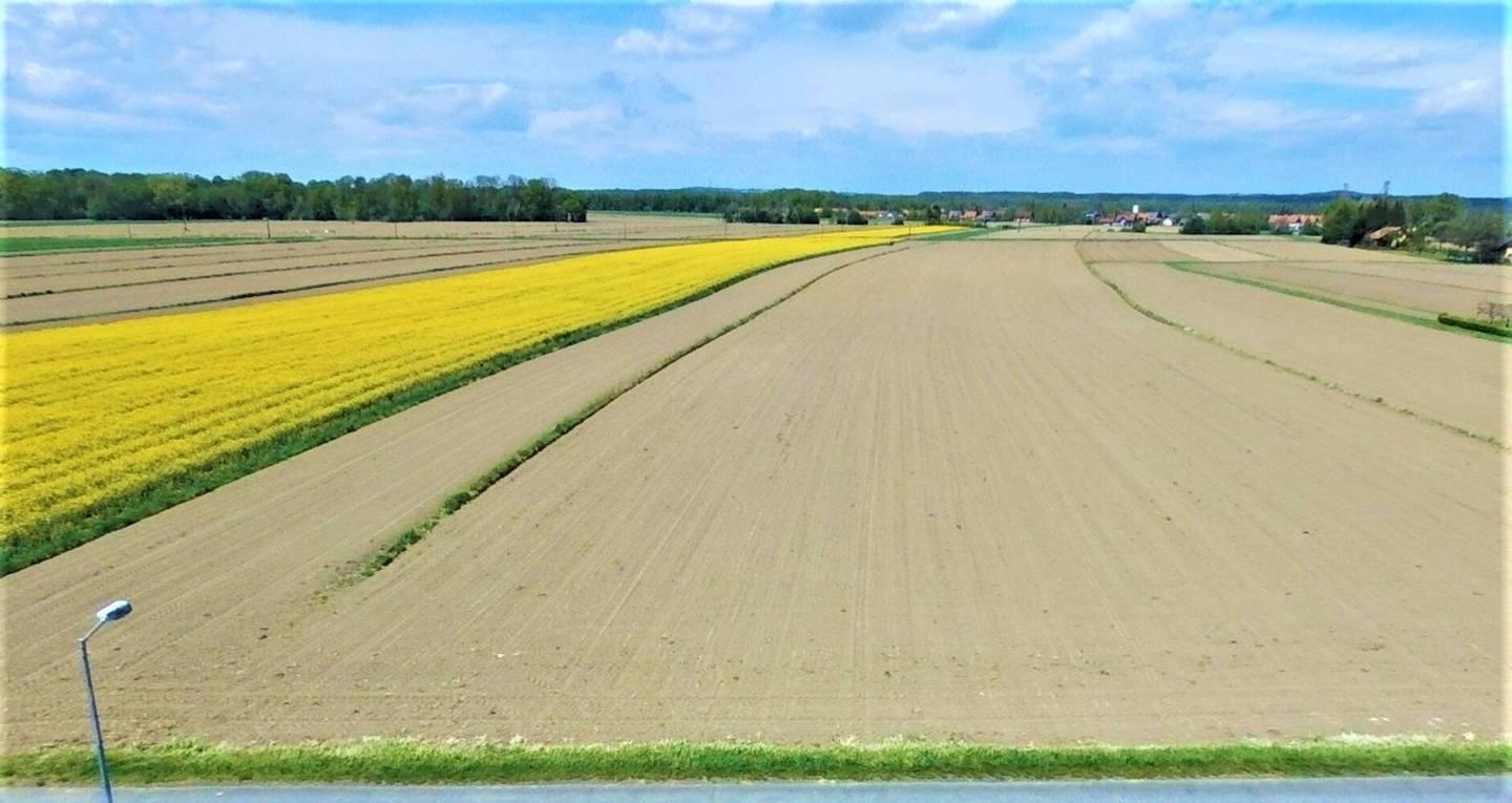 Über 5000m² Bauland in ruhiger Lage