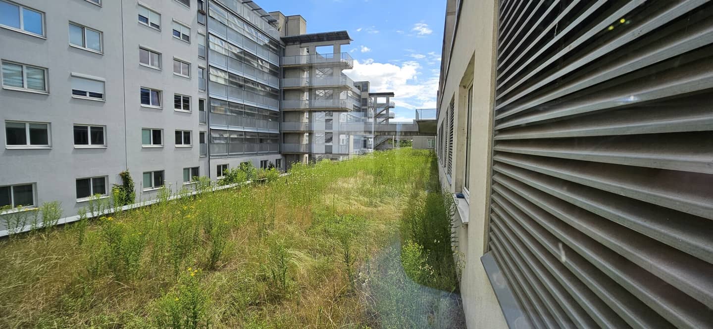 Moderne 526m2 Büro- und Praxisfläche in 1220 Wien