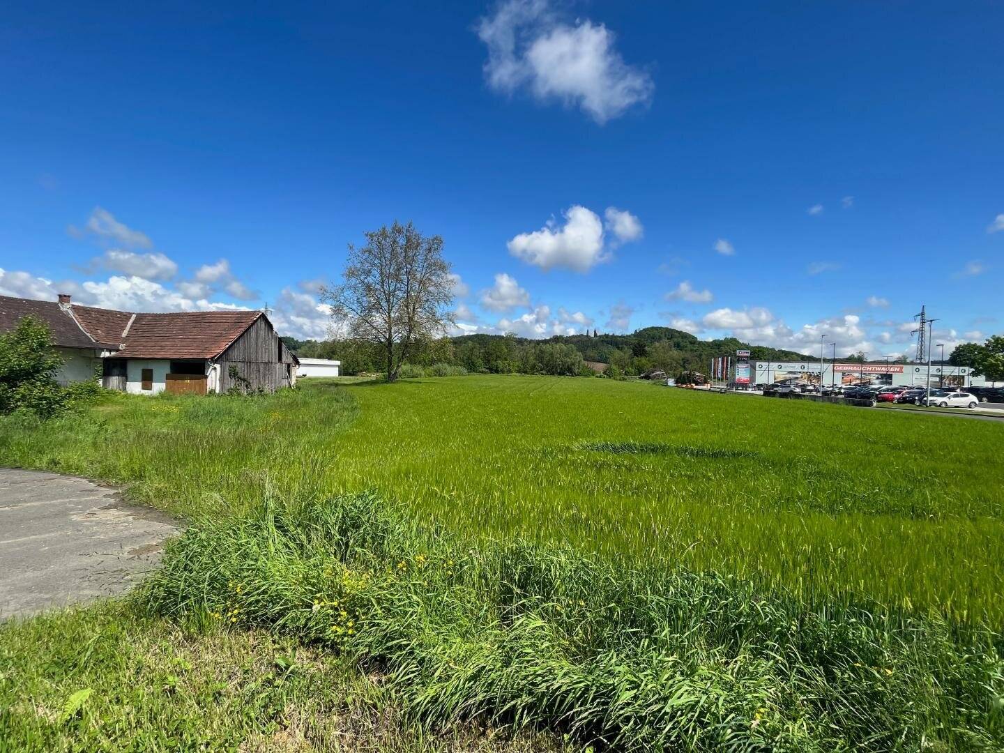 Gewerbegrundstück(e) in perfekter Frequenzlage (neben Hofer) in Feldbach