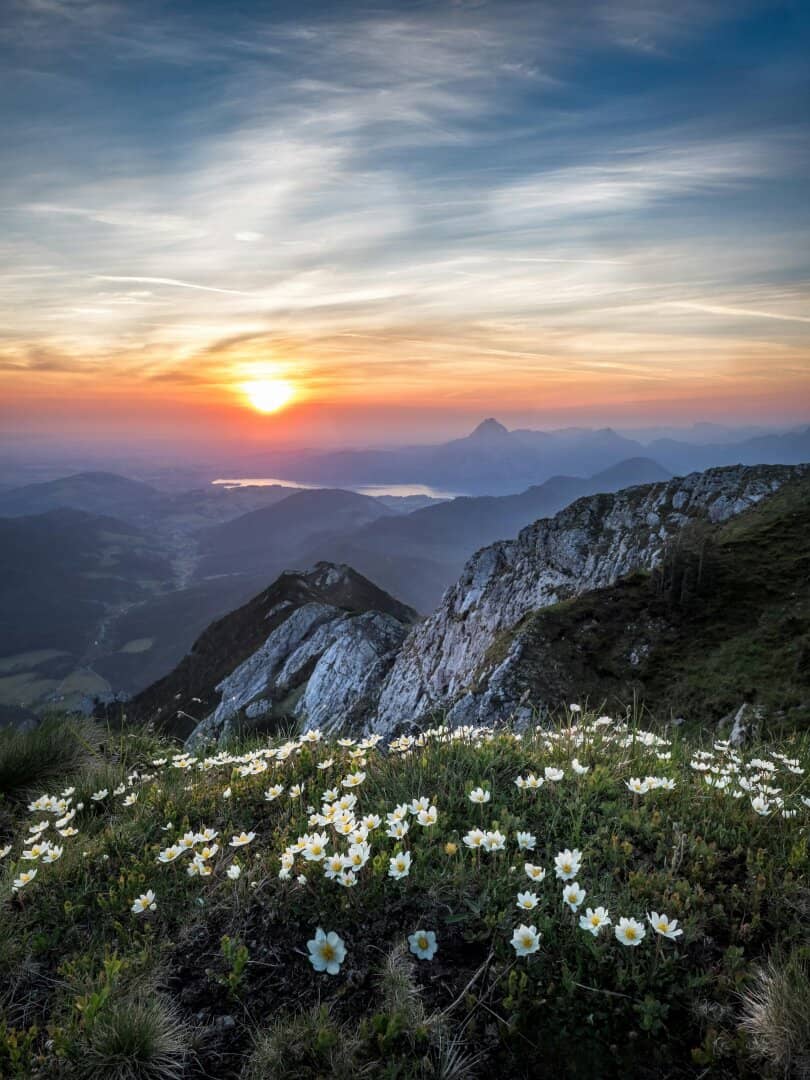 Erstklassige Kärntner Gamsjagd im Gebirge
