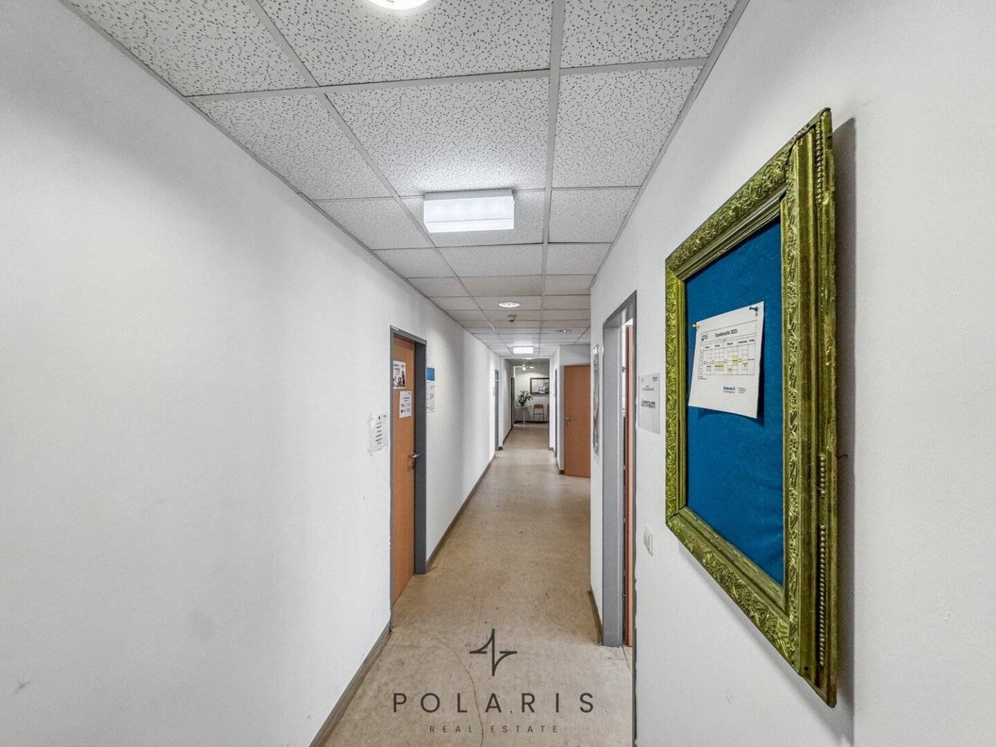 555 m² Großraumbüro in 1150 Wien | Top-Anbindung U4/U6 & viele flexible Räume