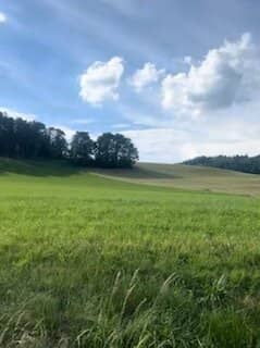 Fünf traumhafte, vollaufgeschlossene Grundstücke mit einem umwerfenden Panoramablick in Latschach am Magdalensberg