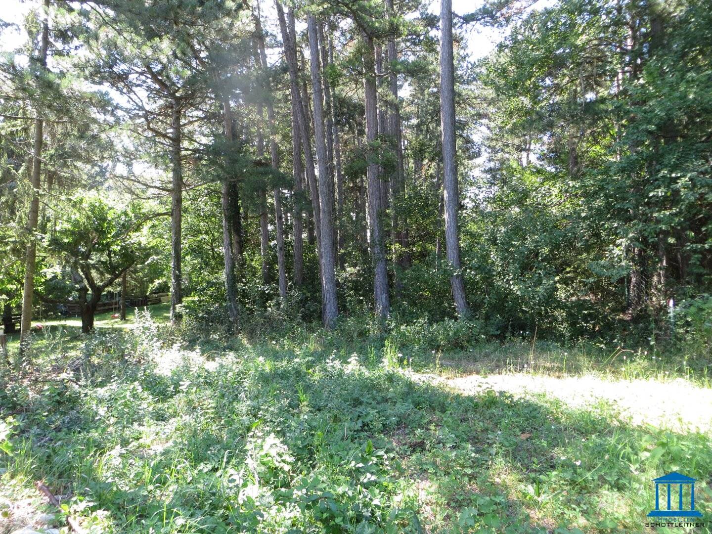 Baugrund in Maiersdorf (Hohe Wand)