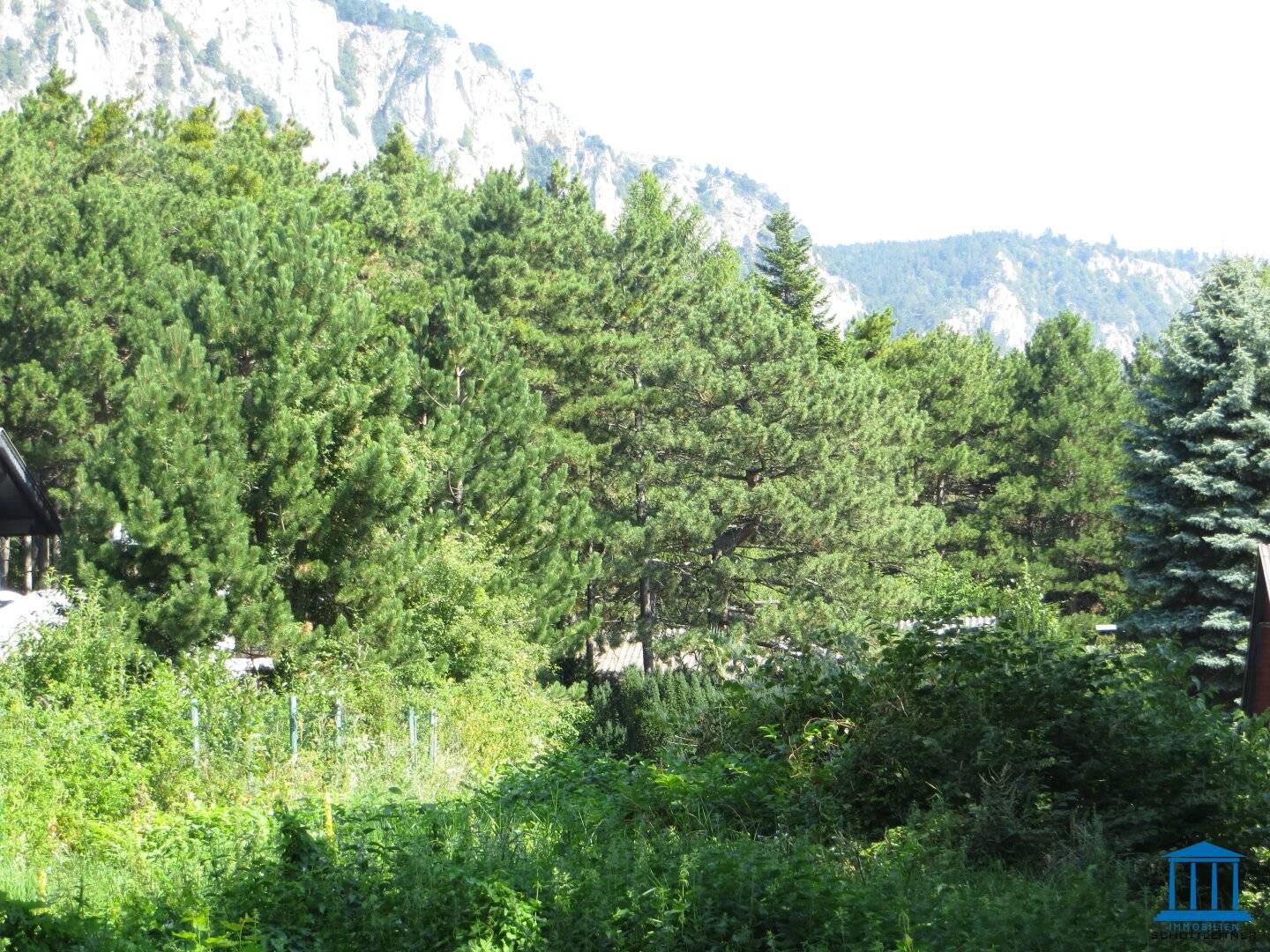 Baugrund in Maiersdorf (Hohe Wand)