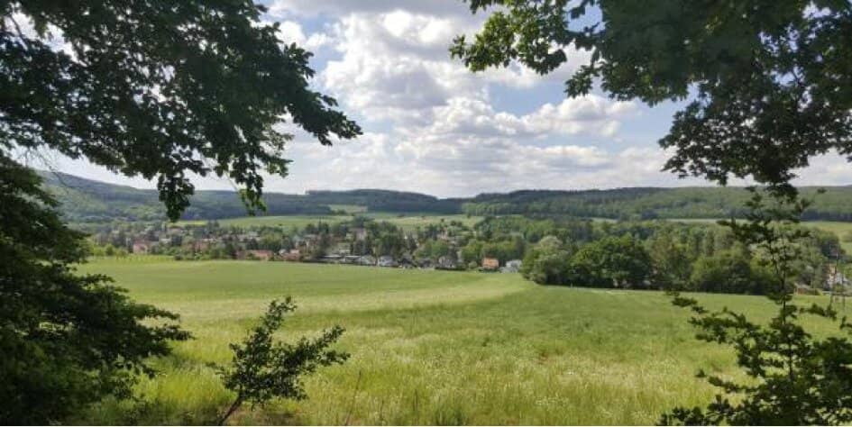 Wohnen mit Lebensqualität: Ihr Grundstück zwischen Gaaden und Baden - provisionsfrei