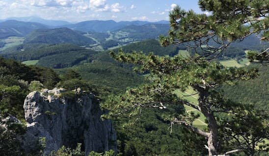 Wohnen mit Lebensqualität: Ihr Grundstück zwischen Gaaden und Baden - provisionsfrei