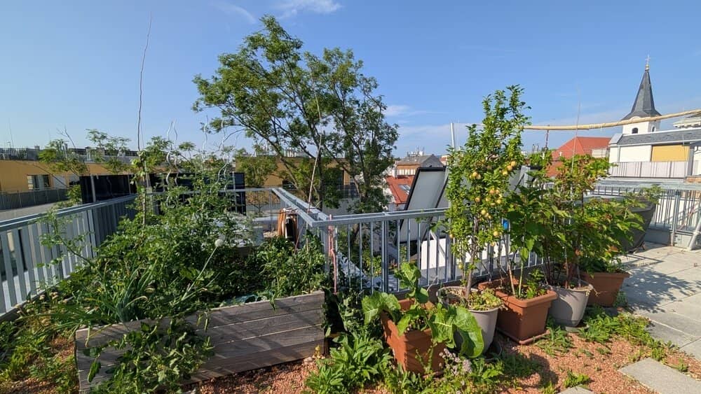 WARMMIETE - Goldener Hirsch – Stilvolle 3-Zimmer-Wohnung mit Balkon und TRAUMTERRASSE
