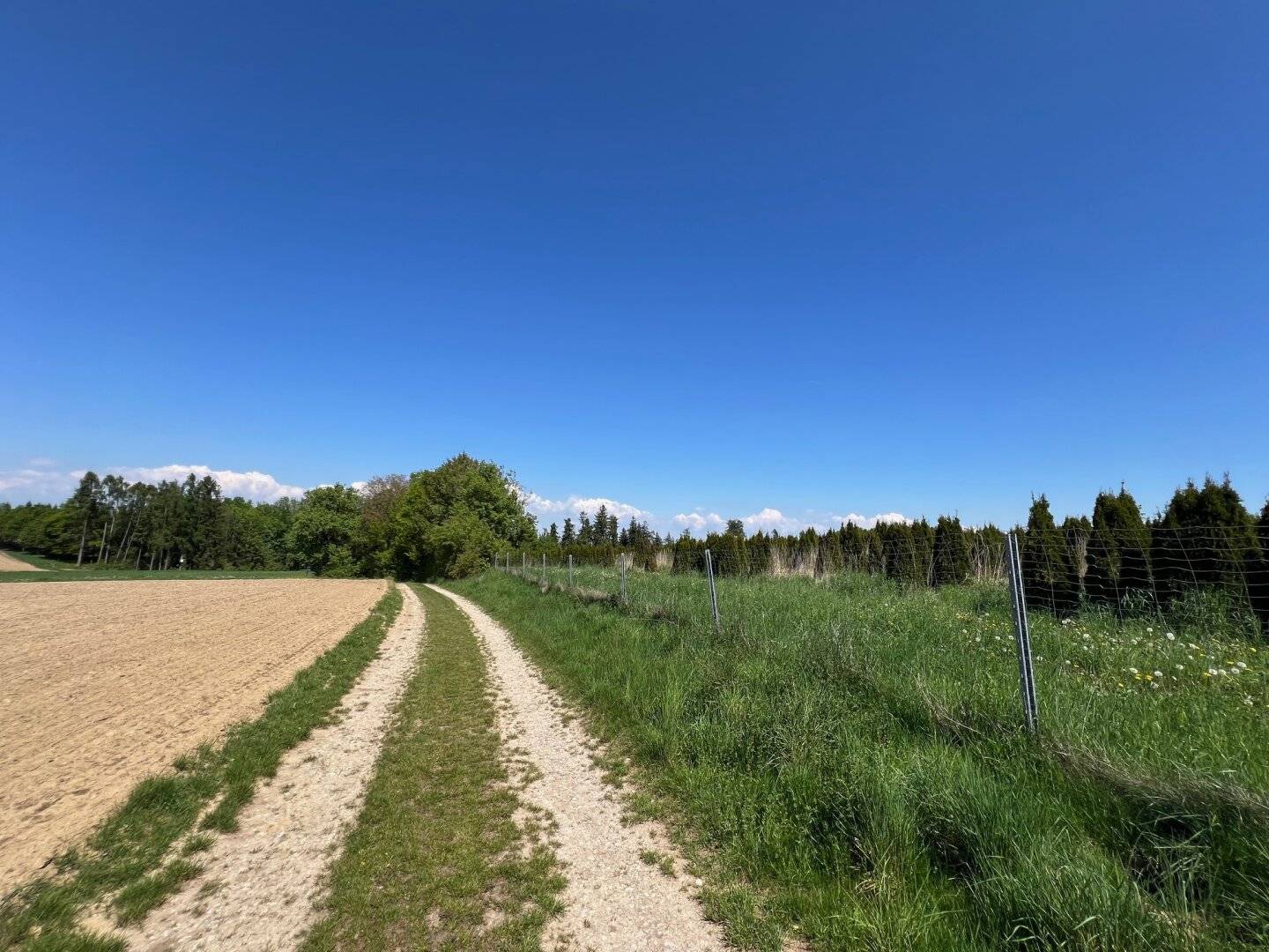 Landwirtschaftliche Nutzflächen in Weißkirchen an der Traun