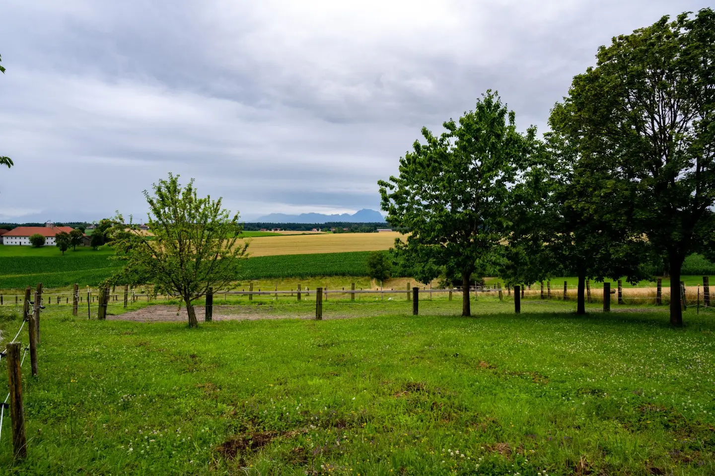 Charmanter Reiterhof in idyllischer Lage bei Gunskirchen - BESTANDSFREI!
