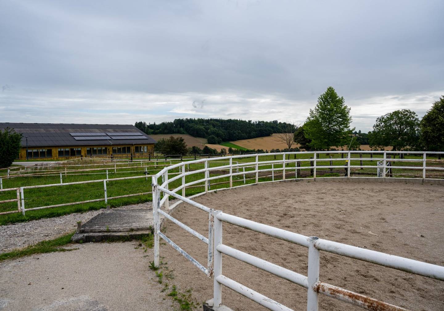 Charmanter Reiterhof in idyllischer Lage bei Gunskirchen - BESTANDSFREI!