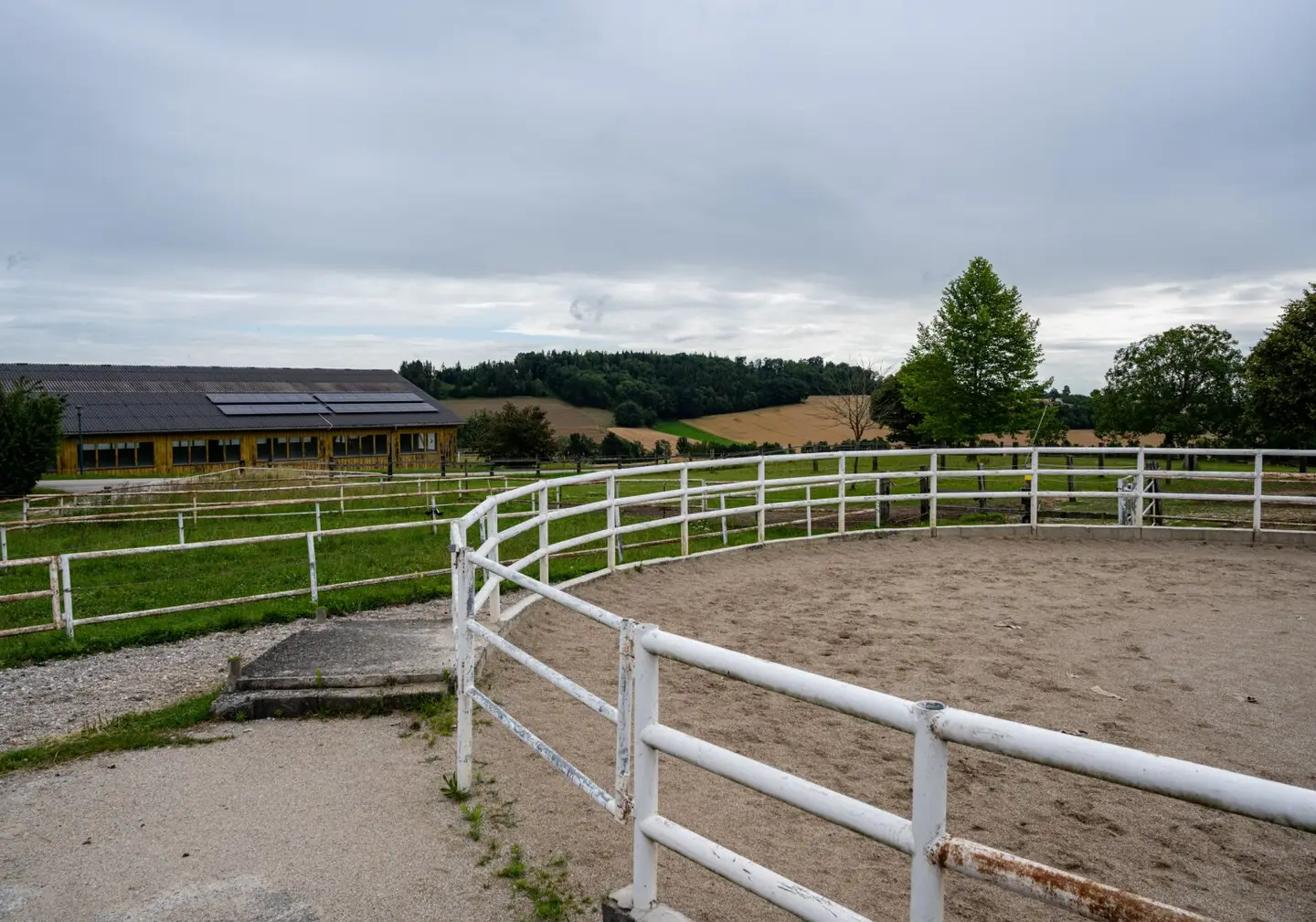 Charmanter Reiterhof in idyllischer Lage bei Gunskirchen - BESTANDSFREI!