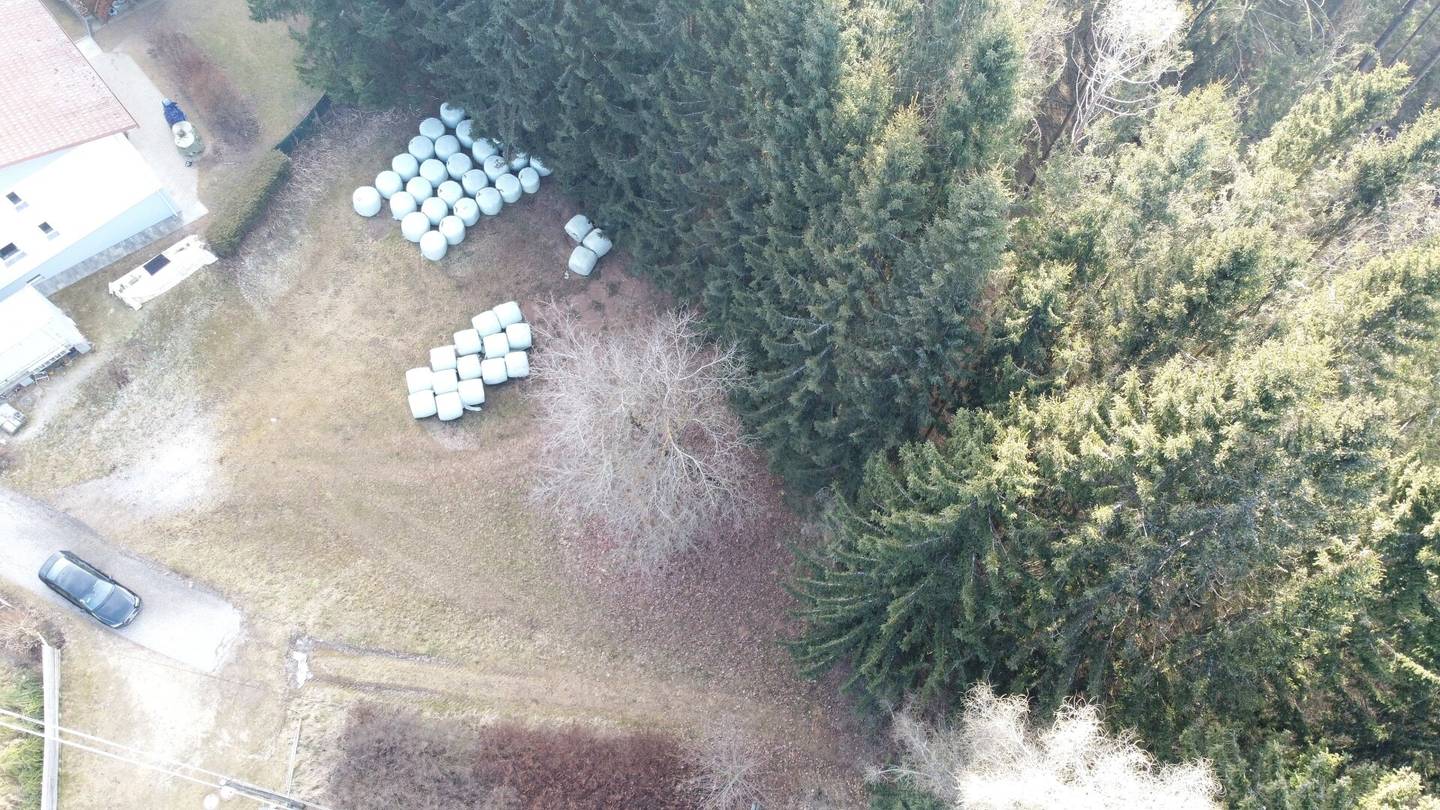Aufgepasst: Baugrundstück mit Wald über der Nebelgrenze!