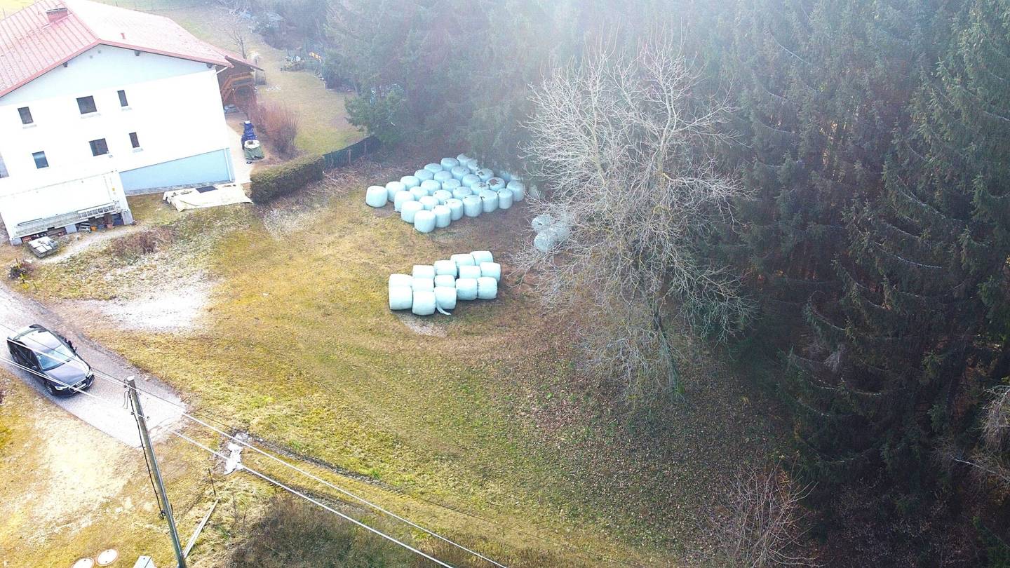 Aufgepasst: Baugrundstück mit Wald über der Nebelgrenze!