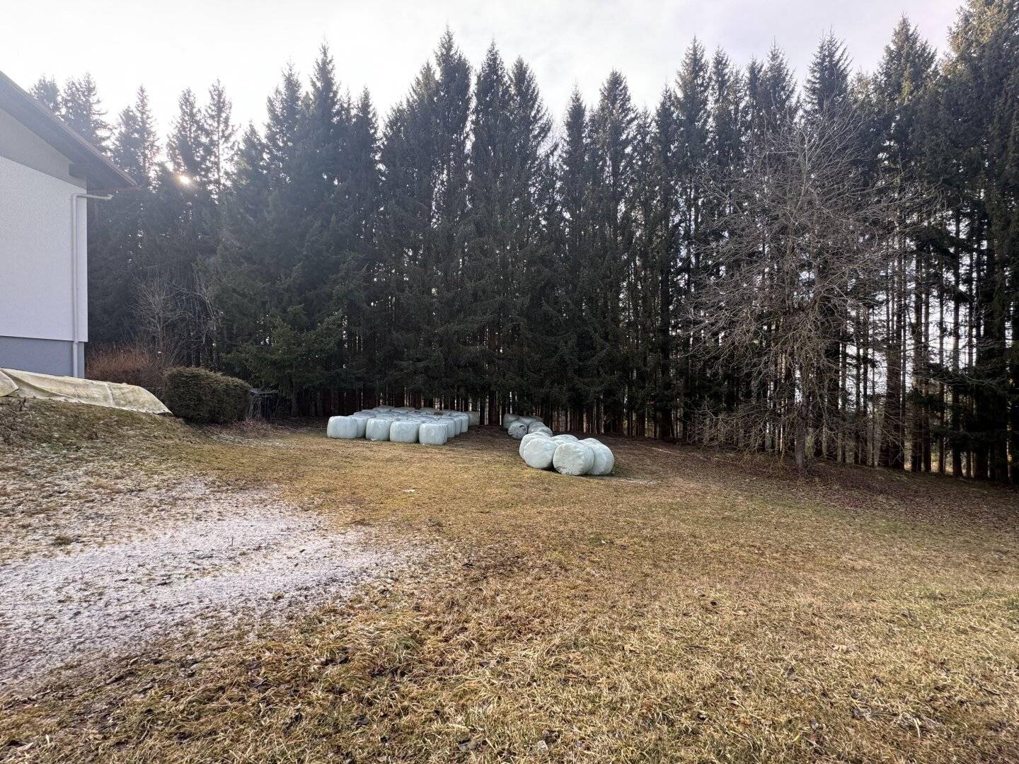Aufgepasst: Baugrundstück mit Wald über der Nebelgrenze!