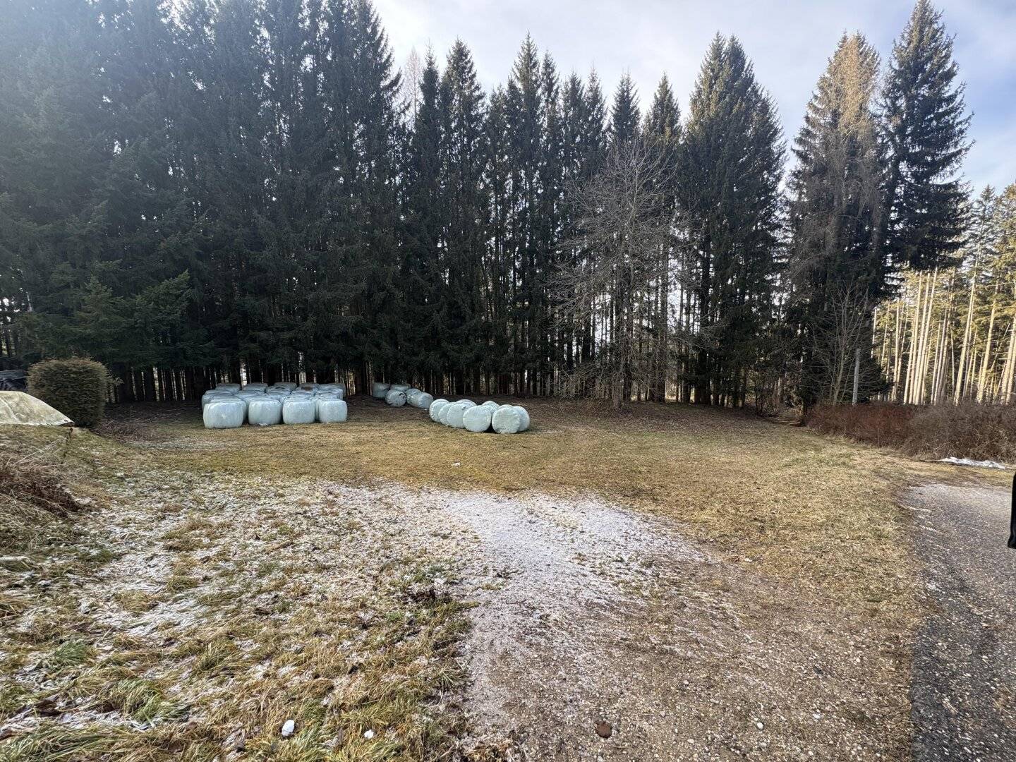 Aufgepasst: Baugrundstück mit Wald über der Nebelgrenze!