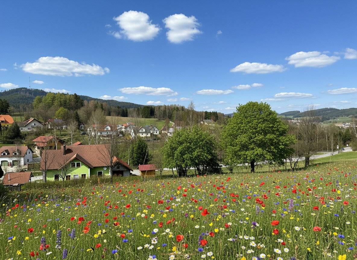 Baugrund 1.918 m² | Hanglage mit Fernblick | Siedlungslage | Böhmerwaldrand | Bad Großpertholz, NÖ
