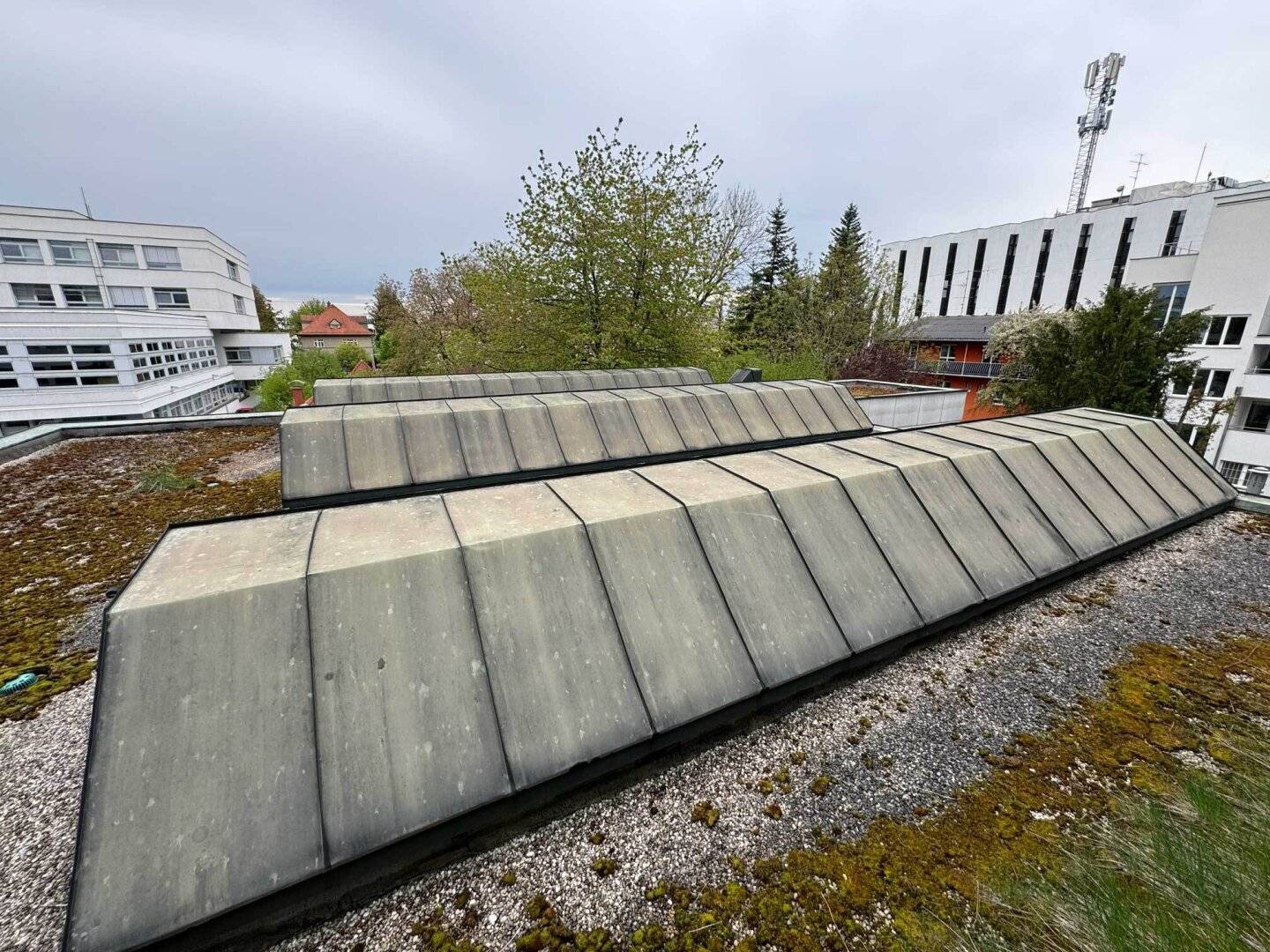 Bestandfreies Stadthaus mit Entwicklungspotential im Zentrum von Wels zu verkaufen
