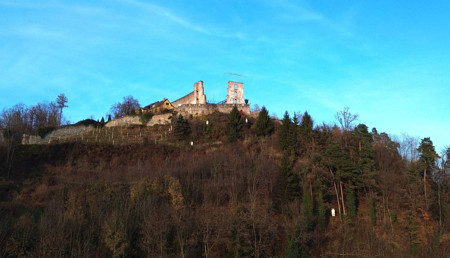 Stadtvilla mit großem Potential in besonders ruhiger, sonniger und zentraler Lage