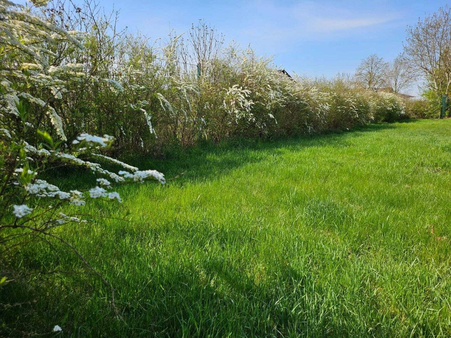 Naturnah bauen in Mamling – sonniges Grundstück sucht Dich