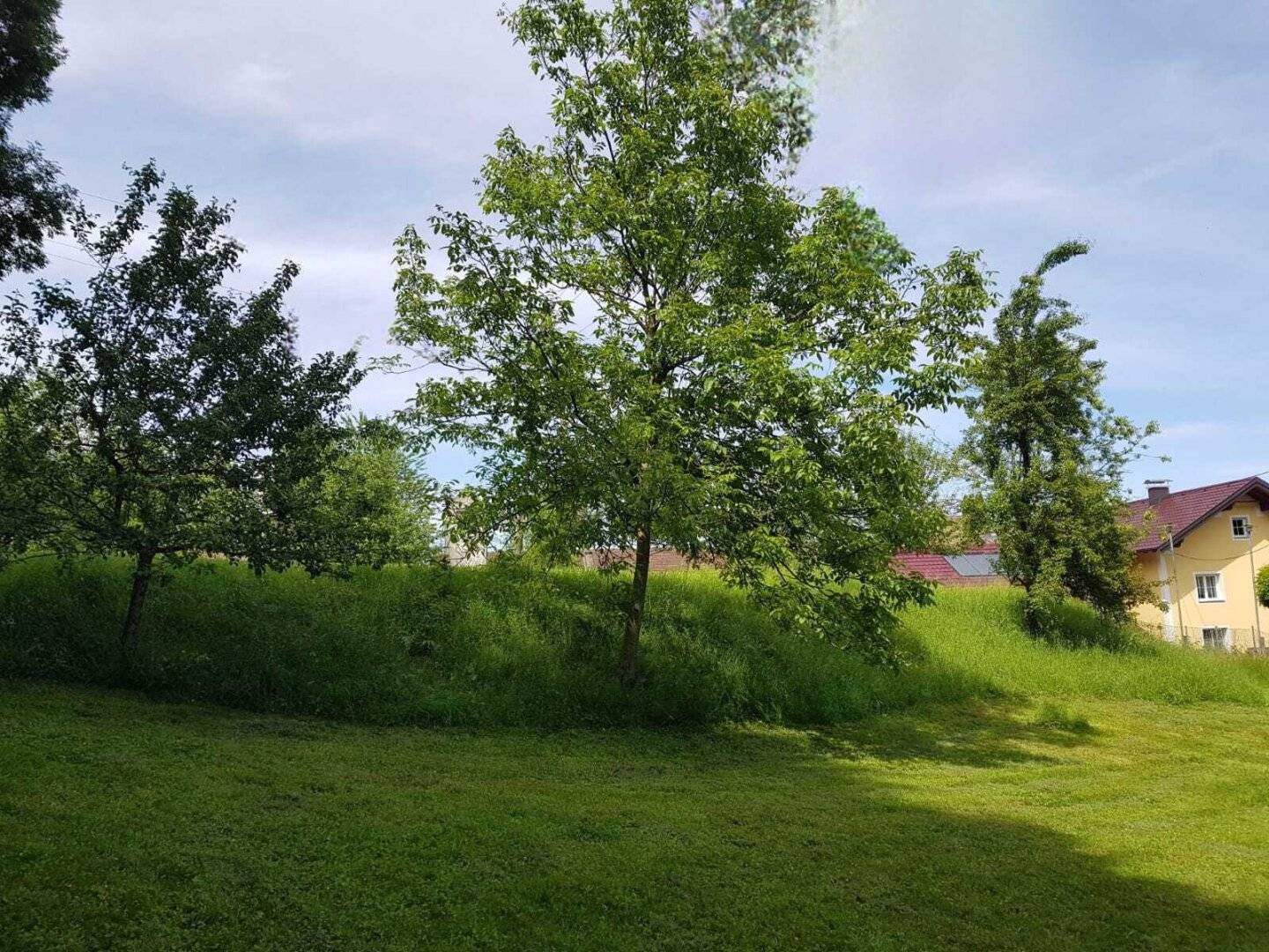 Grundstück in Uttendorf – großzügige Fläche mit Baugrund, Garten- und Waldanteil 🌿