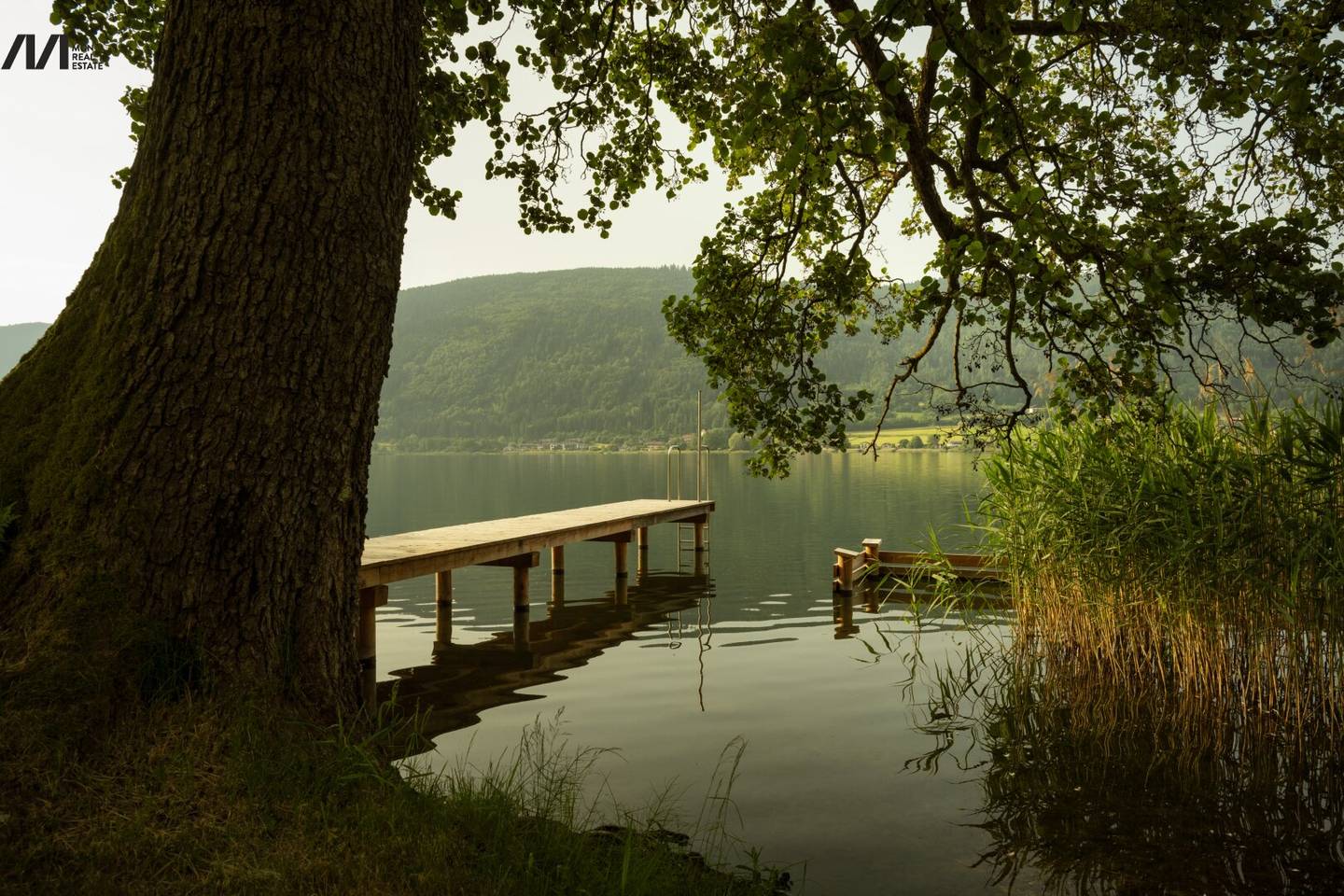 Immobilienbild 2