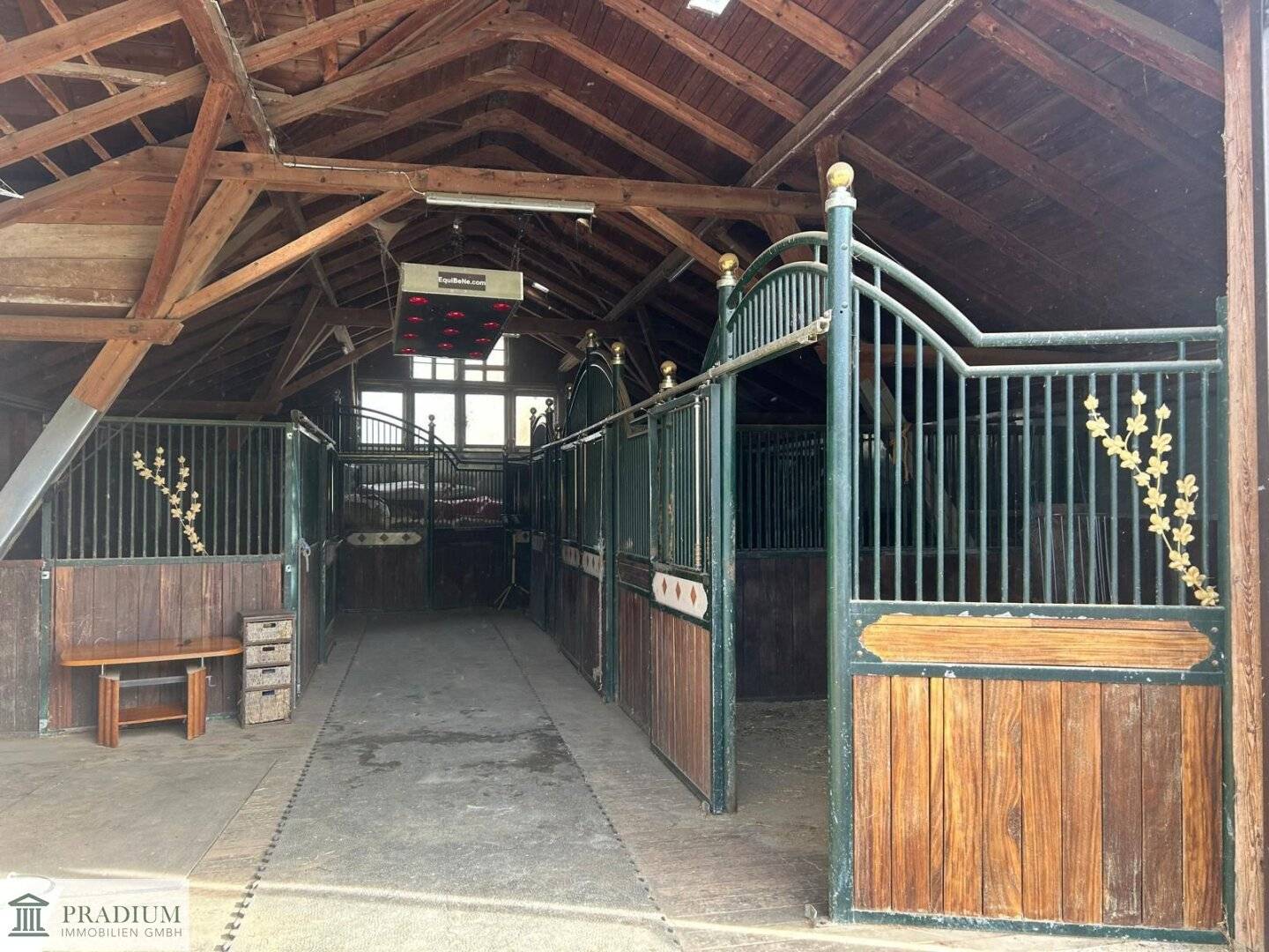 Exklusiver Pferdehof mit 2 Wohneinheiten, Reithalle & großem Grund in Hochneukirchen